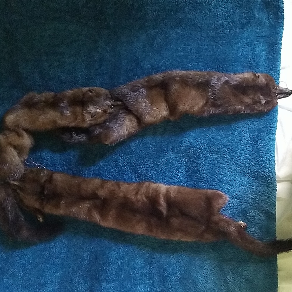 Mink full pelt stall - Picture 2 of 8